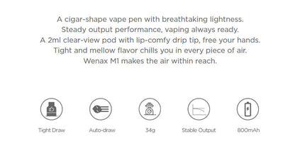 原廠正品 Geekvape Wenax M1 800mAh